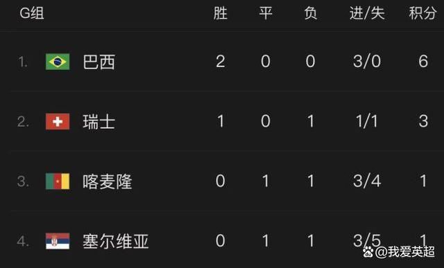 网站本子