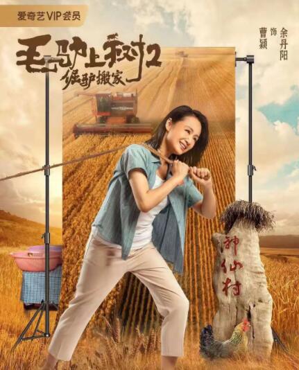烧小说全文免费阅读双女