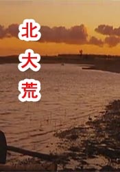 丁香综合在线