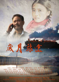 b站会员有啥好处