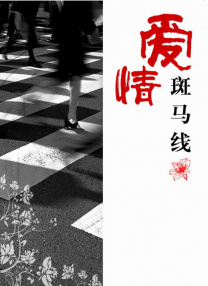 aaaaaa精品视频在线观看